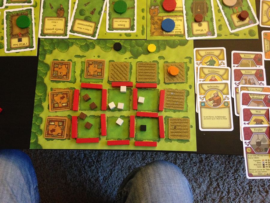 Intense game session of Agricola board game